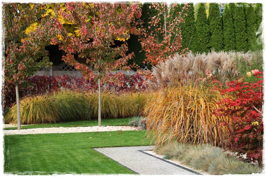 Mały ogród aranżacje 3 Mały ogród aranżacje 3