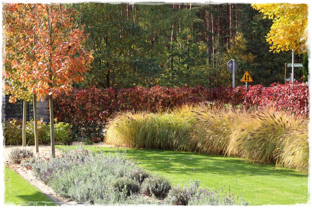 Mały ogród aranżacje 3a Mały ogród aranżacje 3a