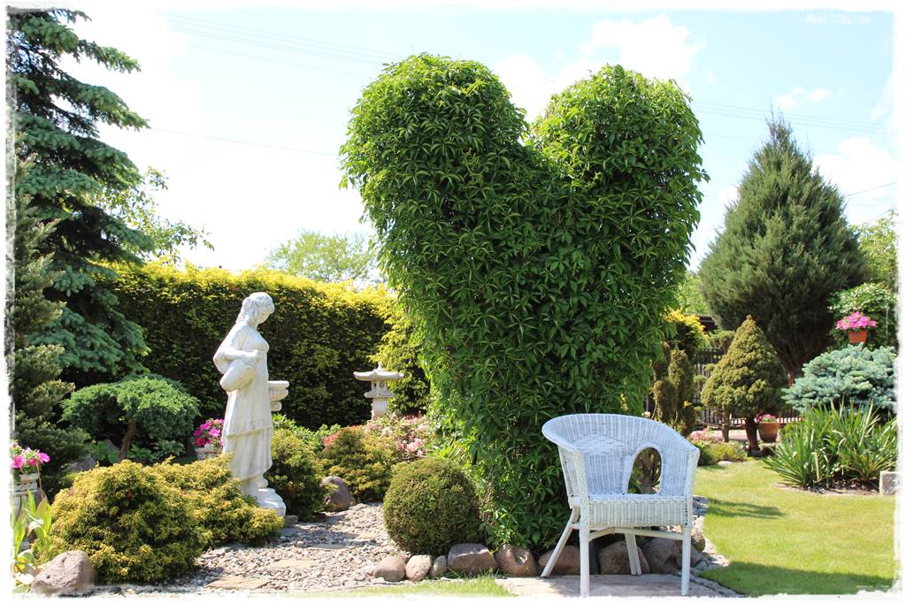 Mały ogród aranżacje 5 Mały ogród aranżacje 5