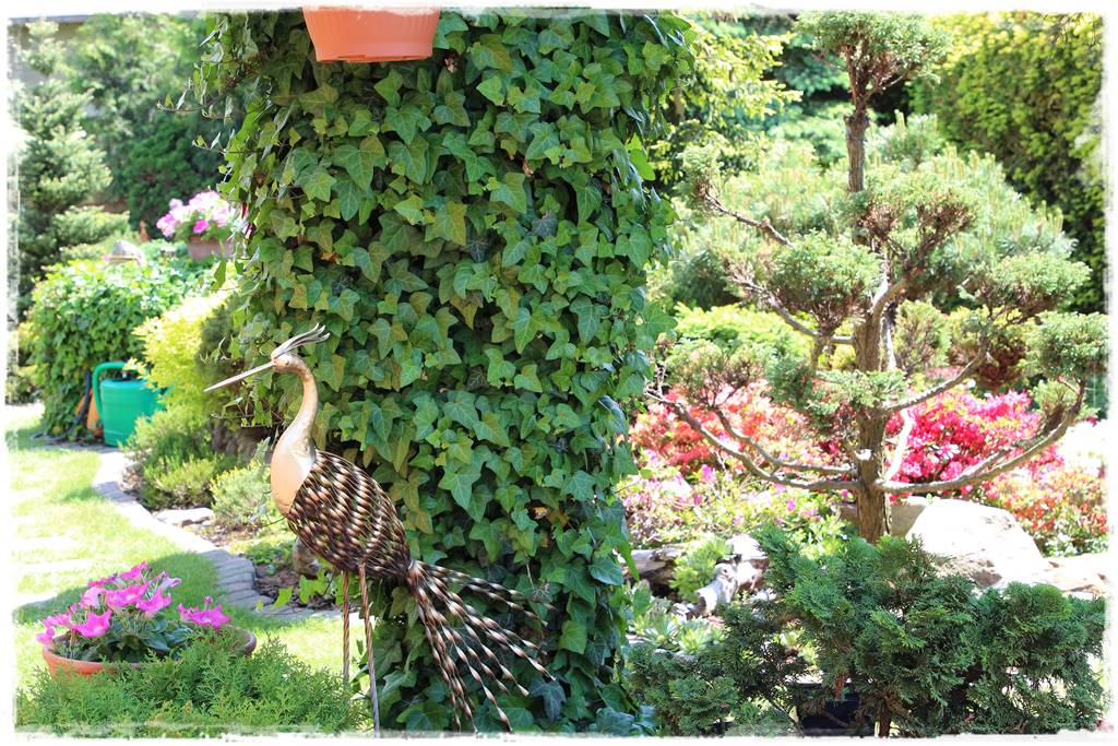 Mały ogród aranżacje 5a Mały ogród aranżacje 5a