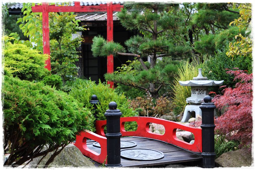 Mały ogród aranżacje 6 Mały ogród aranżacje 6