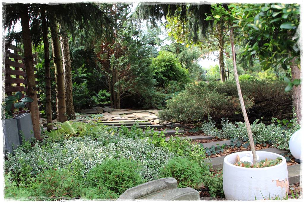 Mały ogród aranżacje 8c Mały ogród aranżacje 8c