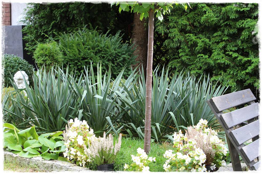 Mały ogród aranżacje 8e Mały ogród aranżacje 8e