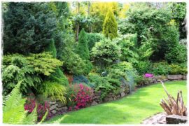 Ogród dla zapracowanych 0