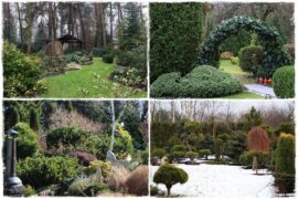 Ogród zimozielony aranżacje 0