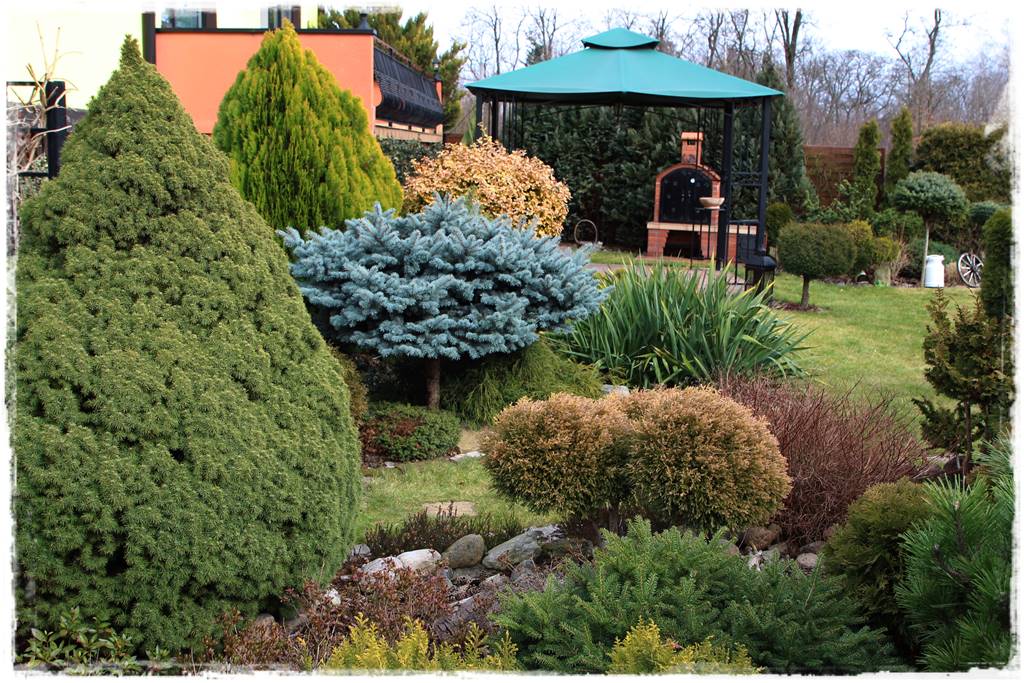 Ogród zimozielony aranżacje 2b