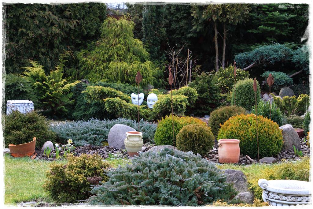 Ogród zimozielony aranżacje 2d Ogród zimozielony aranżacje 2d