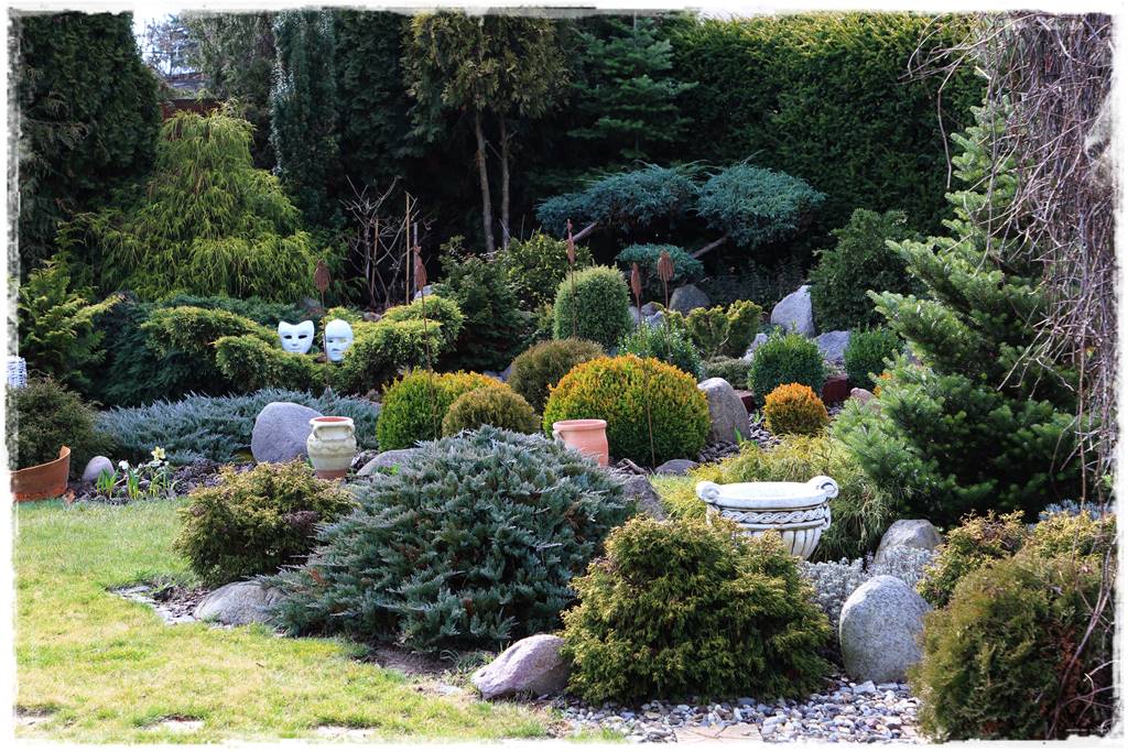 Ogród zimozielony aranżacje 2f Ogród zimozielony aranżacje 2f