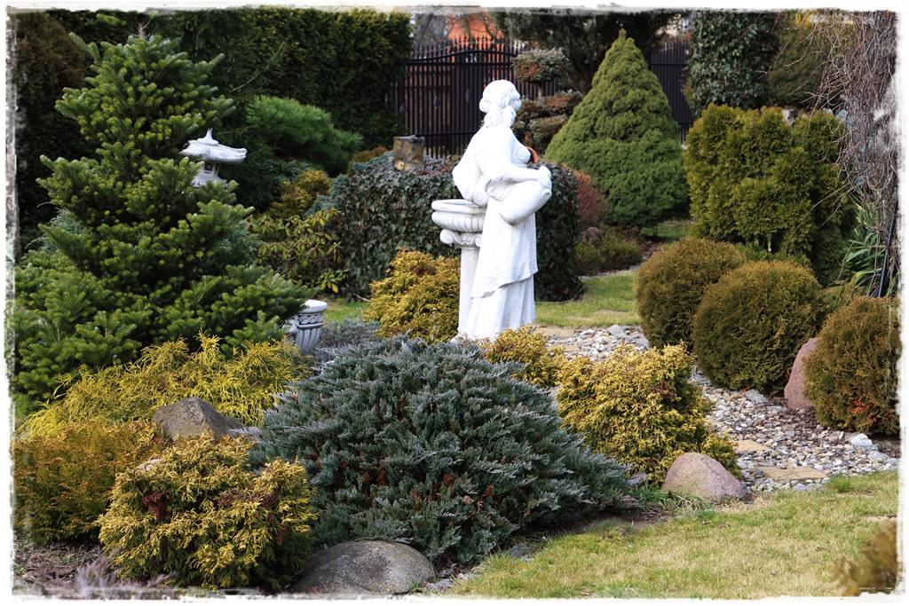 Ogród zimozielony aranżacje 2g