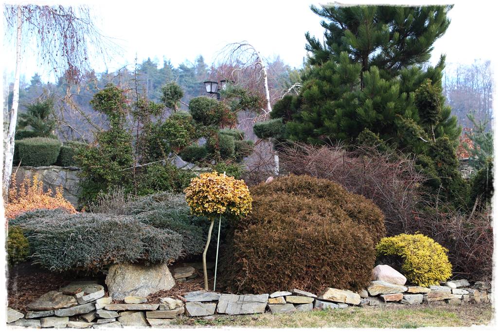 Ogród zimozielony aranżacje 2h Ogród zimozielony aranżacje 2h