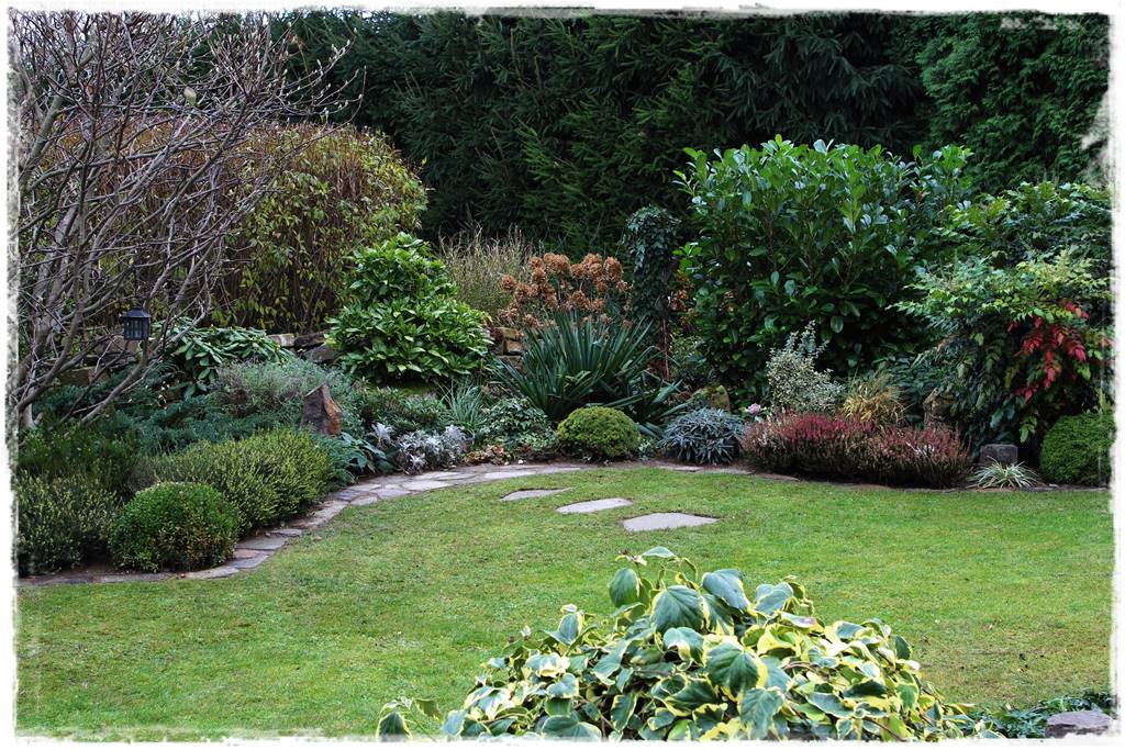 Ogród zimozielony aranżacje 3