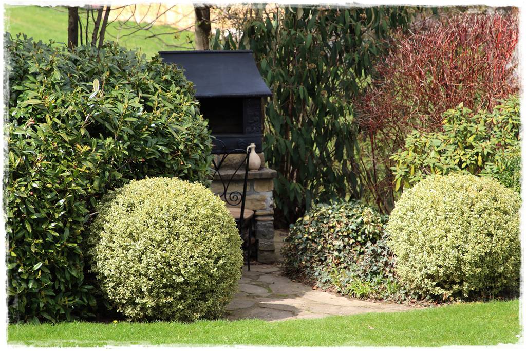 Ogród zimozielony aranżacje 3c