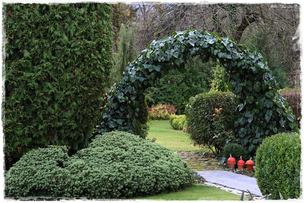 Ogród zimozielony aranżacje 3f Ogród zimozielony aranżacje 3f