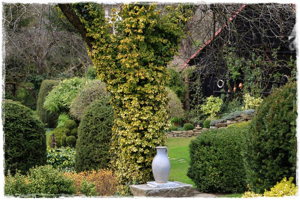 Ogród zimozielony aranżacje 3h