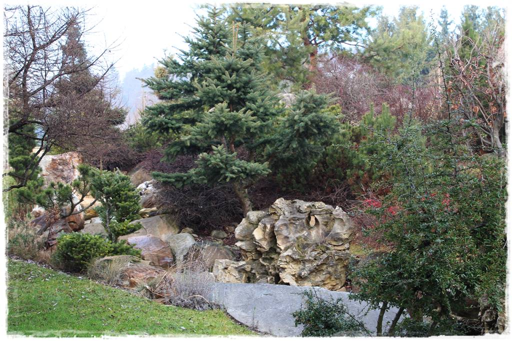 Ogród zimozielony aranżacje 4b Ogród zimozielony aranżacje 4b