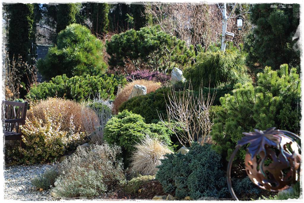 Ogród zimozielony aranżacje 5d Ogród zimozielony aranżacje 5d