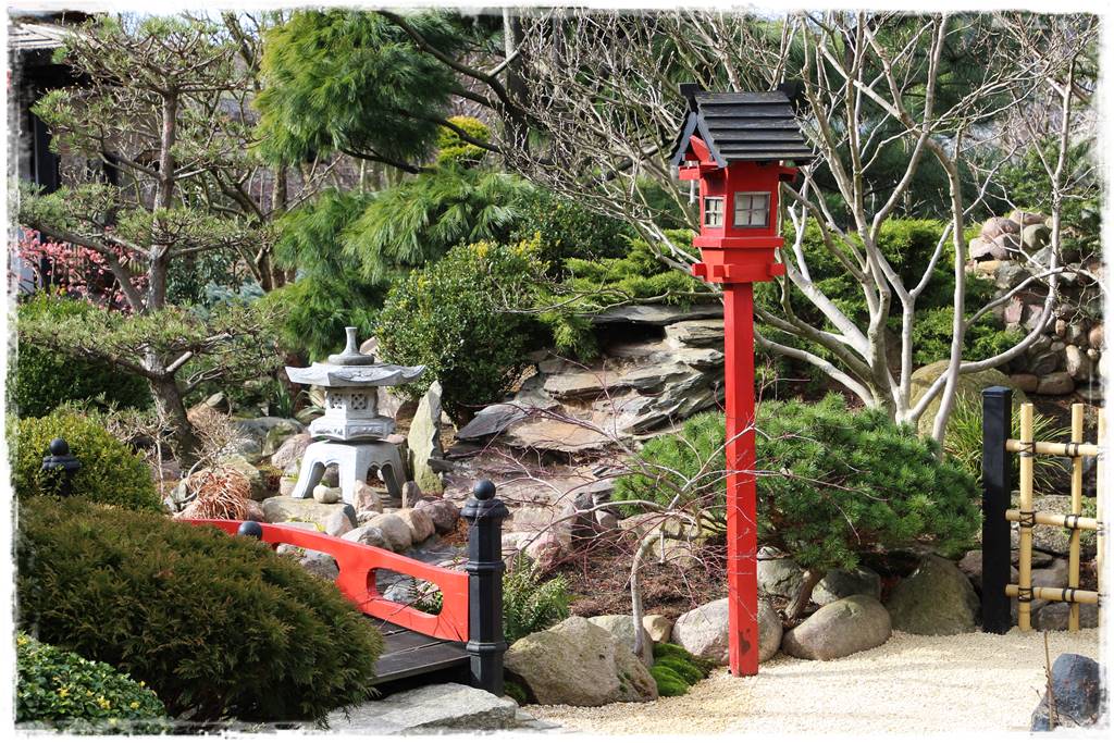 Ogród zimozielony aranżacje 6 Ogród zimozielony aranżacje 6