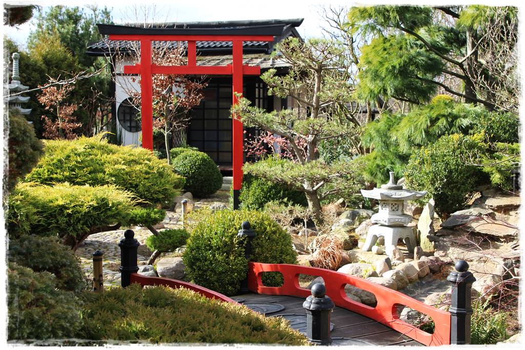 Ogród zimozielony aranżacje 6a Ogród zimozielony aranżacje 6a