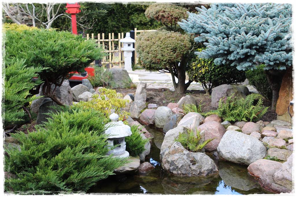 Ogród zimozielony aranżacje 6b Ogród zimozielony aranżacje 6b