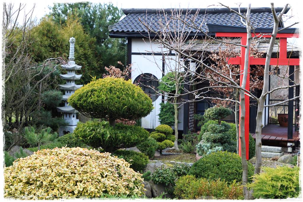 Ogród zimozielony aranżacje 6c Ogród zimozielony aranżacje 6c