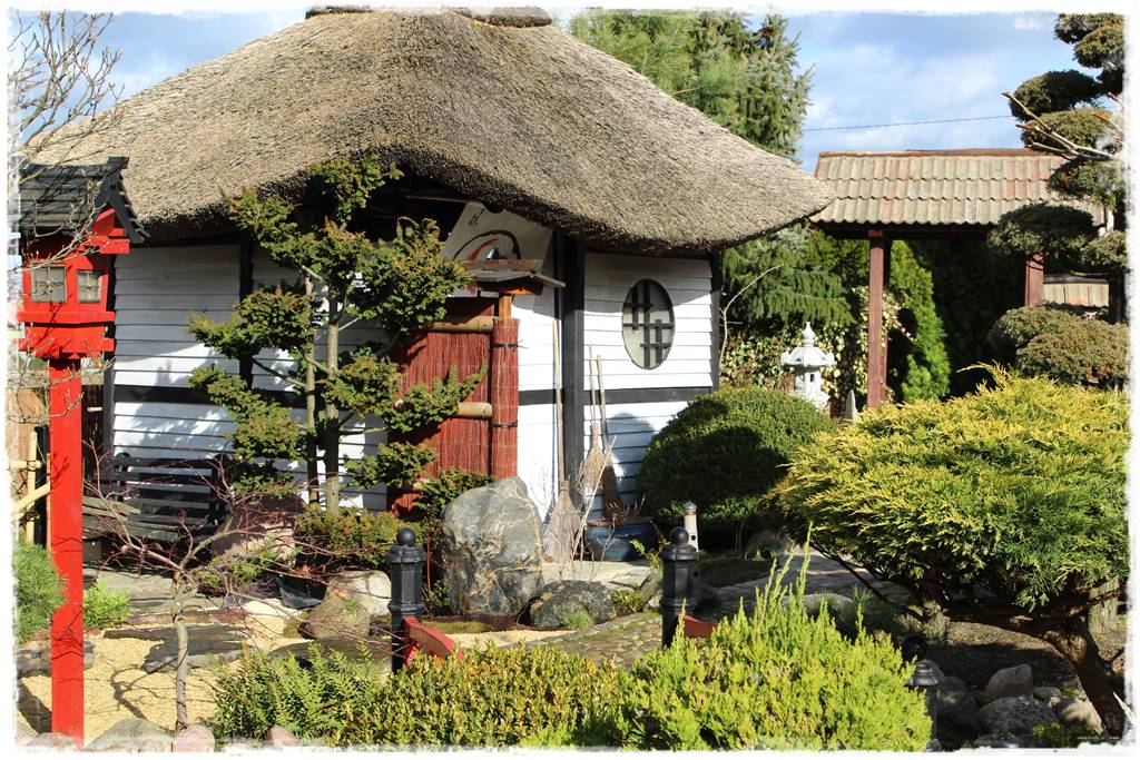 Ogród zimozielony aranżacje 6d Ogród zimozielony aranżacje 6d