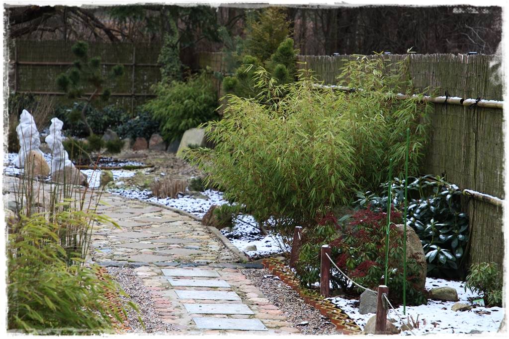 Ogród zimozielony aranżacje 6e Ogród zimozielony aranżacje 6e