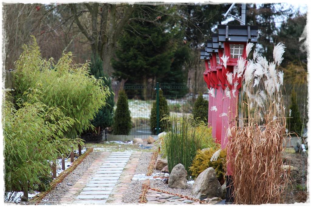 Ogród zimozielony aranżacje 6f Ogród zimozielony aranżacje 6f