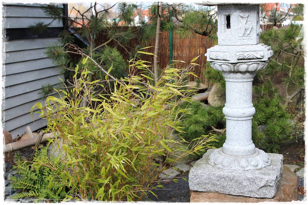 Ogród zimozielony aranżacje 6h Ogród zimozielony aranżacje 6h