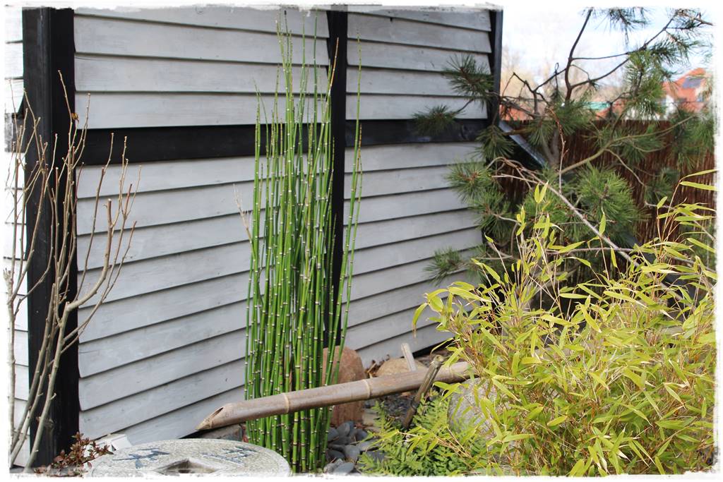 Ogród zimozielony aranżacje 6j Ogród zimozielony aranżacje 6j