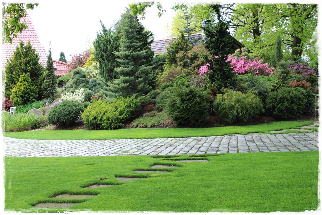 Ogród zimozielony aranżacje 7a Ogród zimozielony aranżacje 7a