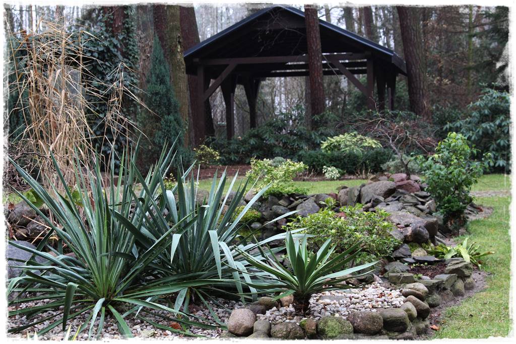 Ogród zimozielony aranżacje 8d Ogród zimozielony aranżacje 8d