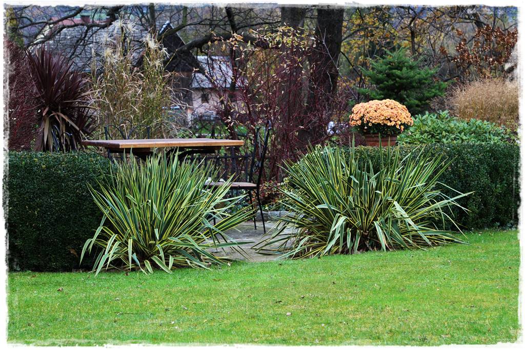 Ogród zimozielony aranżacje 8e Ogród zimozielony aranżacje 8e