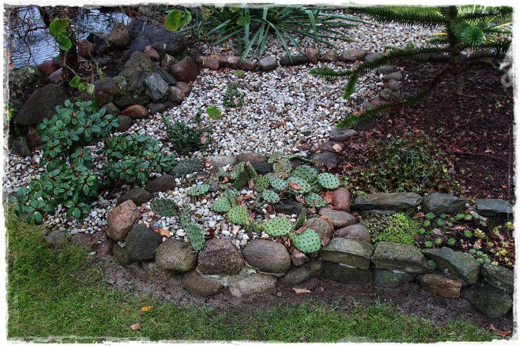 Ogród zimozielony aranżacje 8f Ogród zimozielony aranżacje 8f