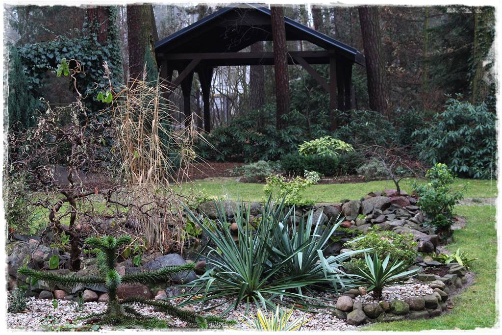 Ogród zimozielony aranżacje 8j Ogród zimozielony aranżacje 8j