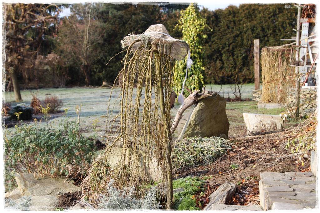 Płaczące drzewa 10 Płaczące drzewa 10