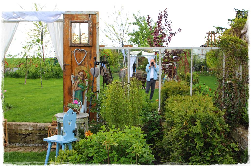 Płaczące drzewa 10a Płaczące drzewa 10a