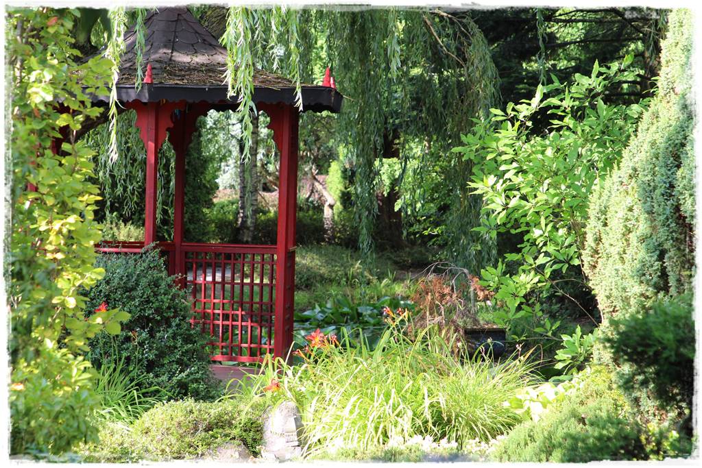 Płaczące drzewa 12b Płaczące drzewa 12b