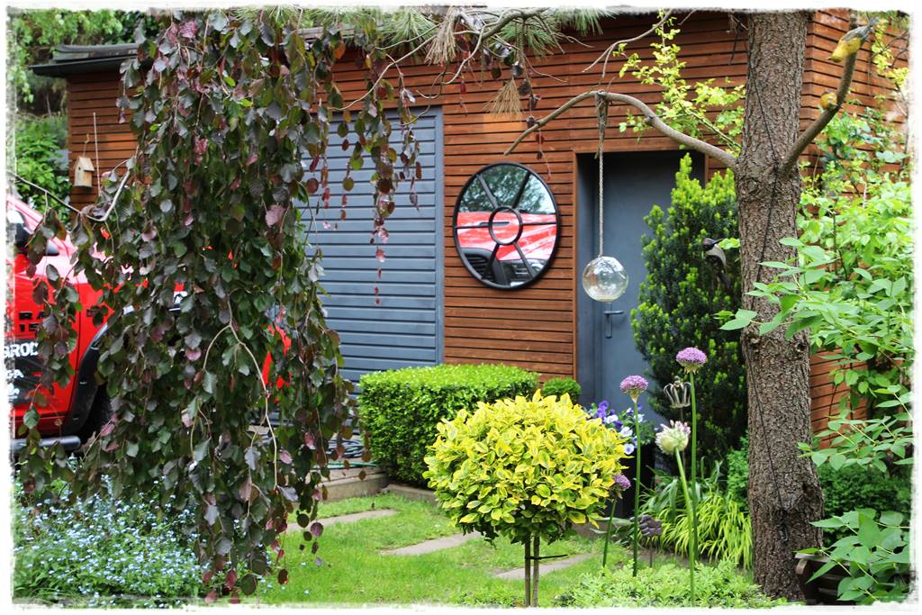 Płaczące drzewa 2b Płaczące drzewa 2b