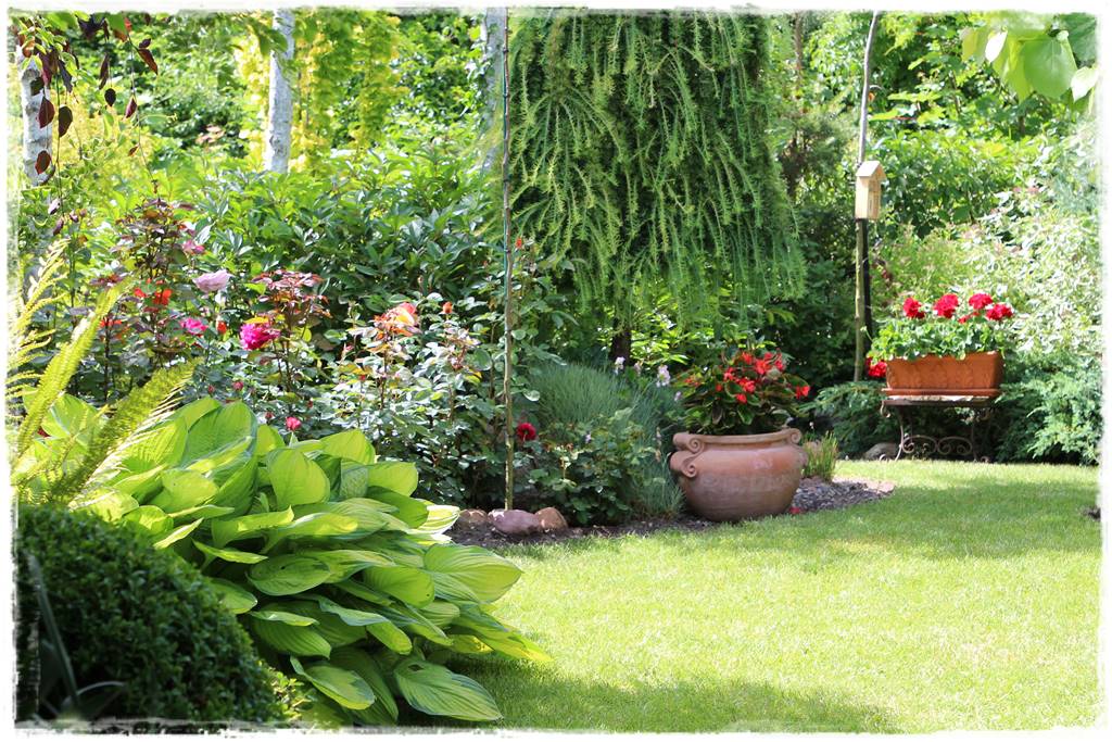 Płaczące drzewa 3e Płaczące drzewa 3e