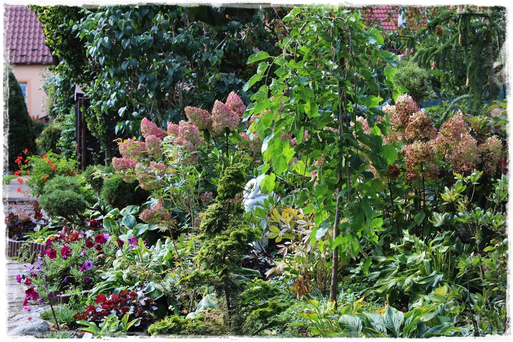 Płaczące drzewa 4 Płaczące drzewa 4