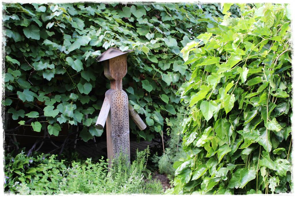 Płaczące drzewa 4a Płaczące drzewa 4a