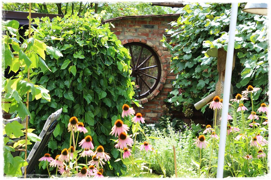 Płaczące drzewa 4b Płaczące drzewa 4b