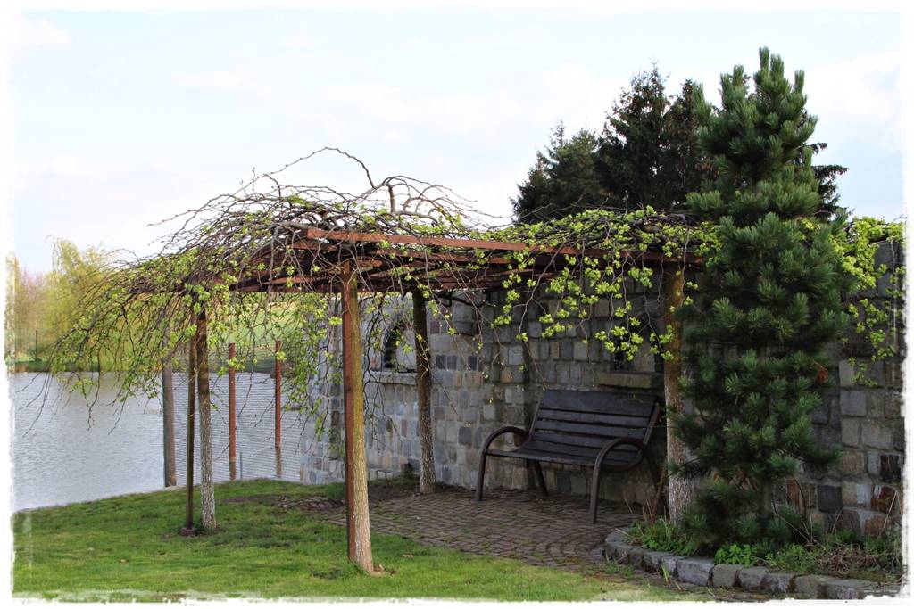 Płaczące drzewa 5h Płaczące drzewa 5h