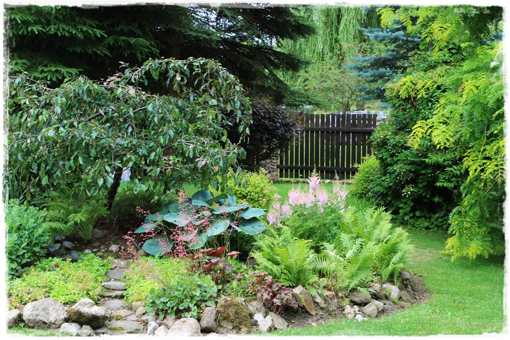 Płaczące drzewa 7b Płaczące drzewa 7b