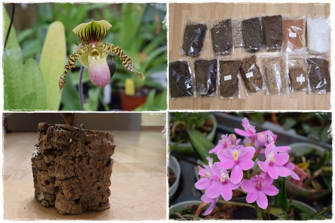 Podłoża dla storczyków 0