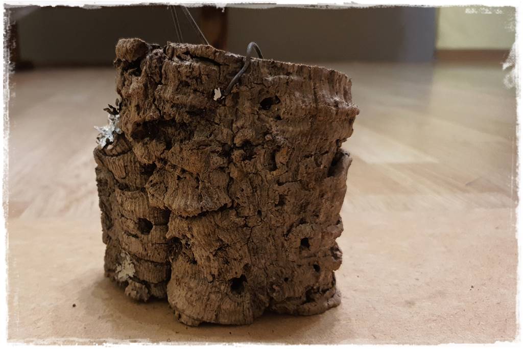 Podłoża dla storczyków 6