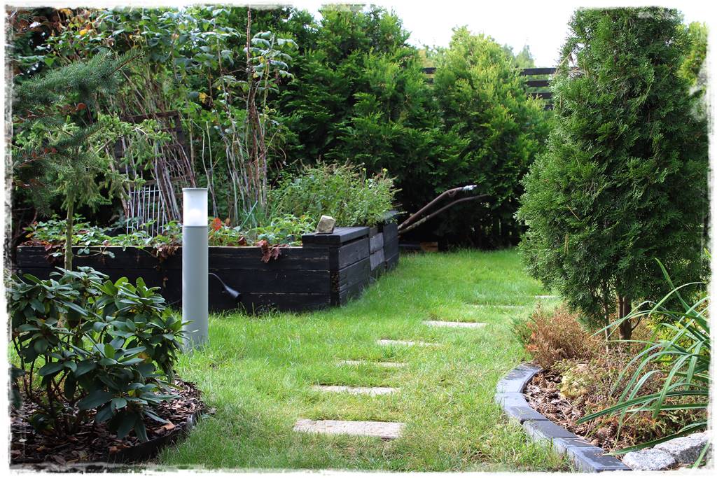 Podwyższona grządka jako warzywnik 10