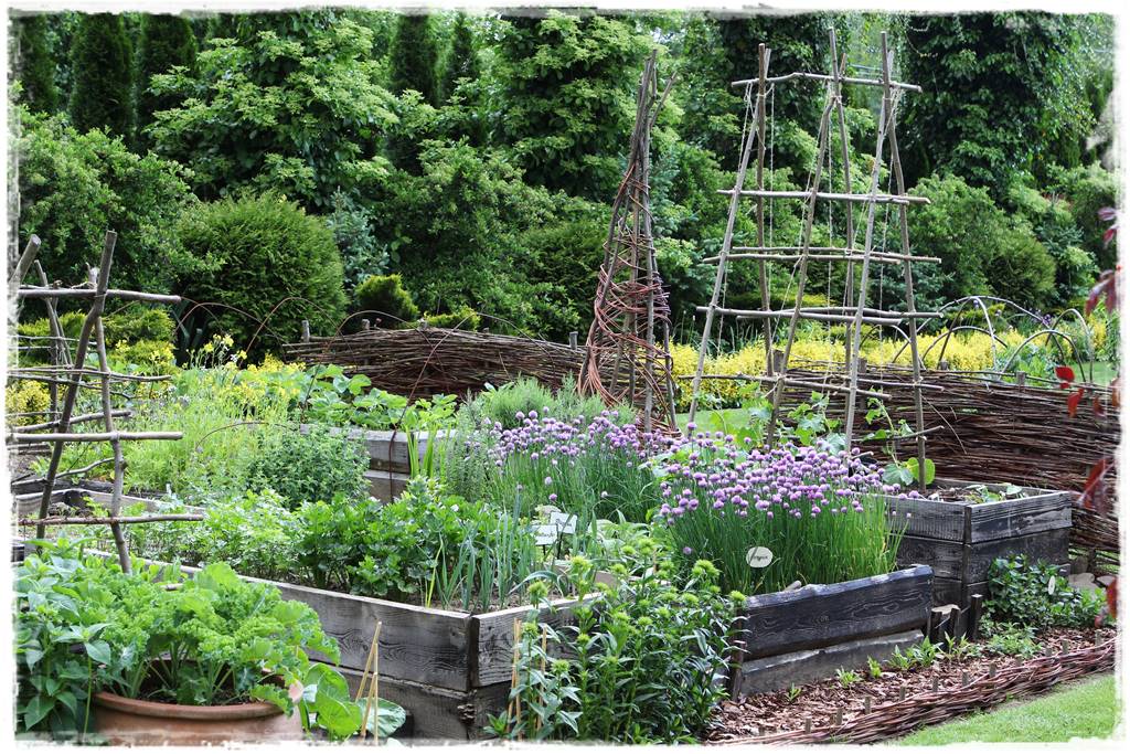 Podwyższona grządka jako warzywnik 13