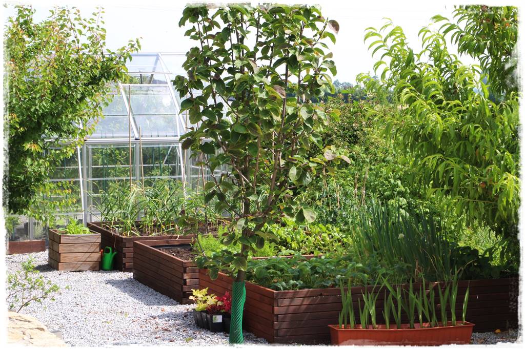 Podwyższona grządka jako warzywnik 19