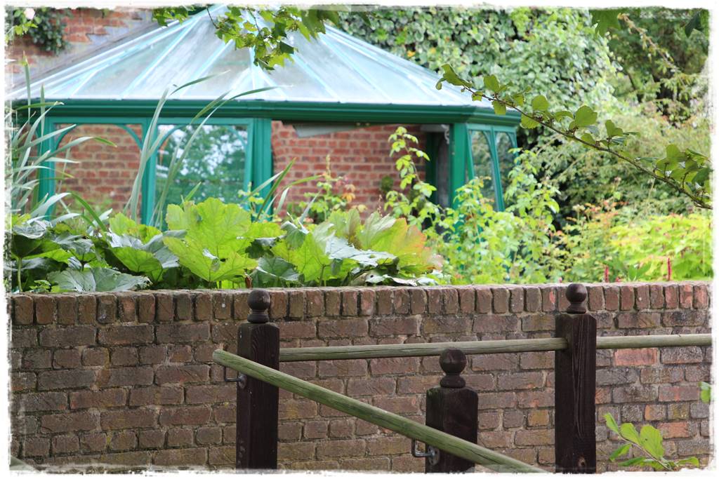 Podwyższona grządka jako warzywnik 22